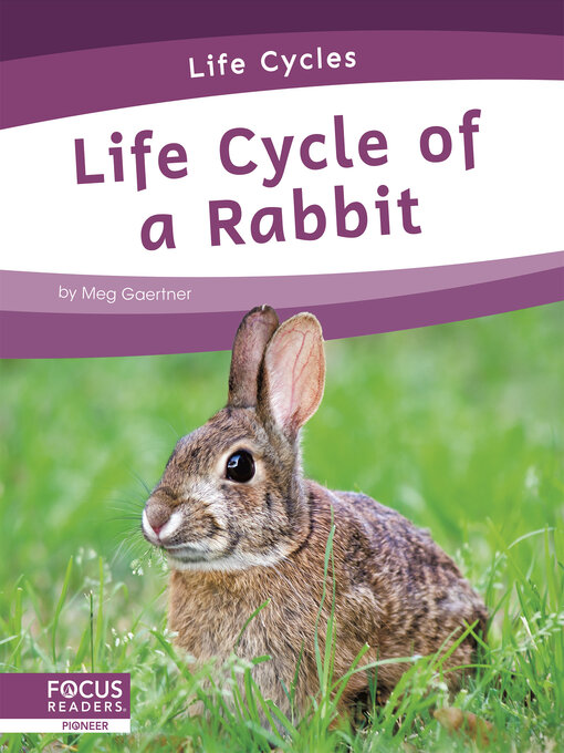 Titeldetails für Life Cycle of a Rabbit nach Meg Gaertner - Warteliste